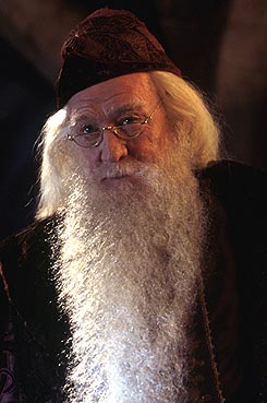 Professor Dumbledore