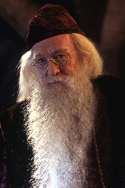 Professor Albus Dumbledore