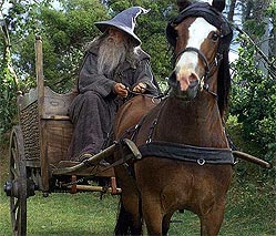 Gandalf kommt ins Auenland